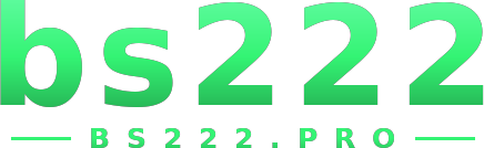 bs222 logo